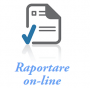 Raportare online.png