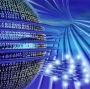 network262.jpg